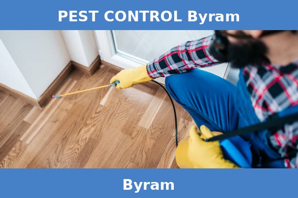 PEST CONTROL Byram